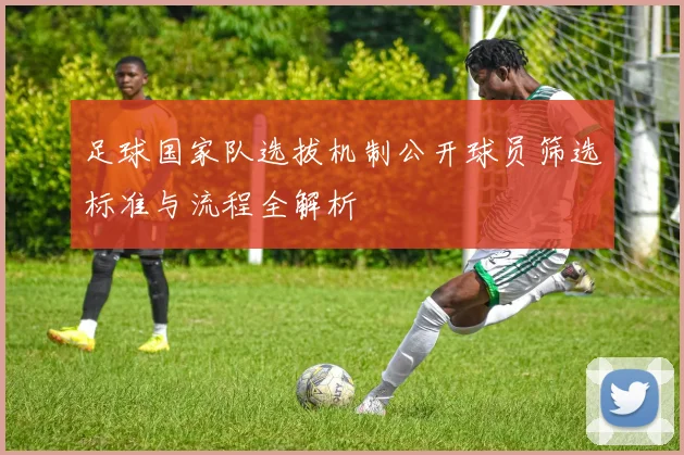 足球国家队选拔机制公开球员筛选标准与流程全解析