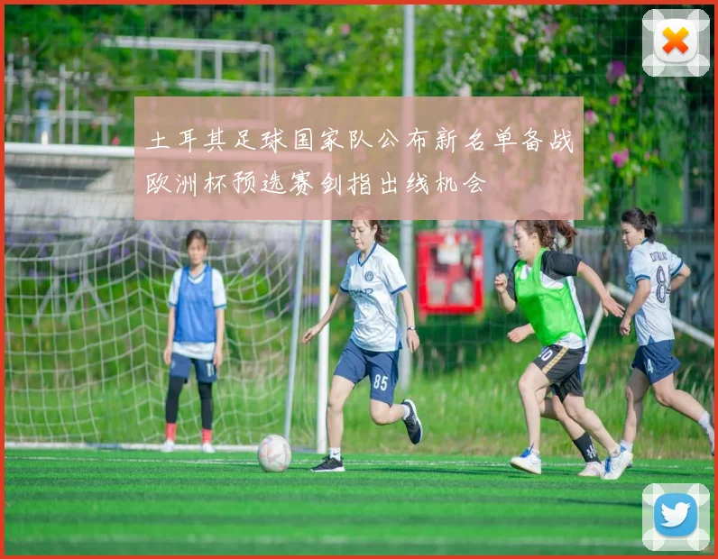 土耳其足球国家队公布新名单备战欧洲杯预选赛剑指出线机会