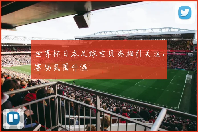 世界杯日本足球宝贝亮相引关注，赛场氛围升温