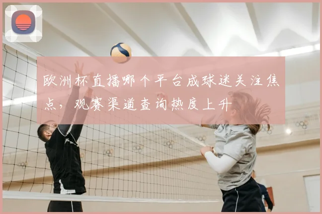 欧洲杯直播哪个平台成球迷关注焦点,观赛渠道查询热度上升