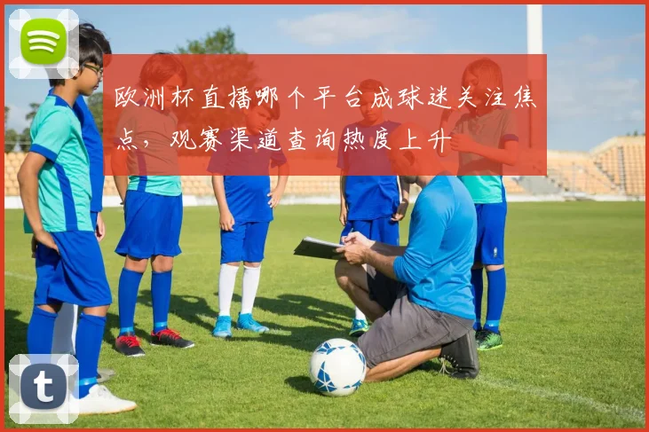 欧洲杯直播哪个平台成球迷关注焦点，观赛渠道查询热度上升