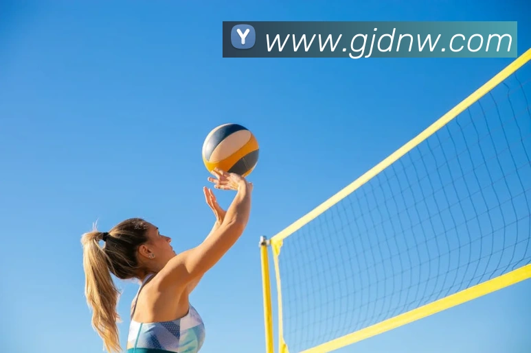 冠竞体育电子竞技官网服务体系